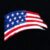 USA Brush