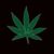 Weed